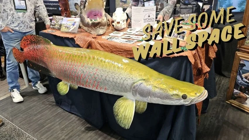 Built to Scale – The Best Arapaima Replicas — Half Past First Cast